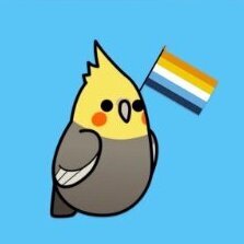 Birb3334