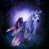 unicorn fairy