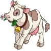 Cow