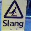 Slang