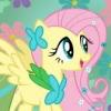 Fluttershy13