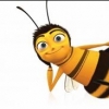 Bees?